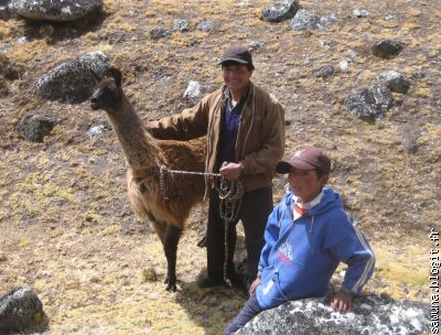 Edgar commente l'élevage de lamas