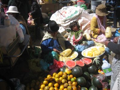 Ananas et autres fruits des yungas